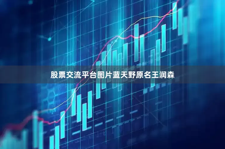 股票交流平台图片蓝天野原名王润森